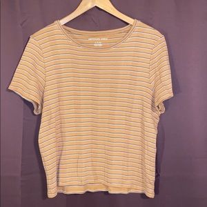 American Eagle Short Sleeved Crop Top